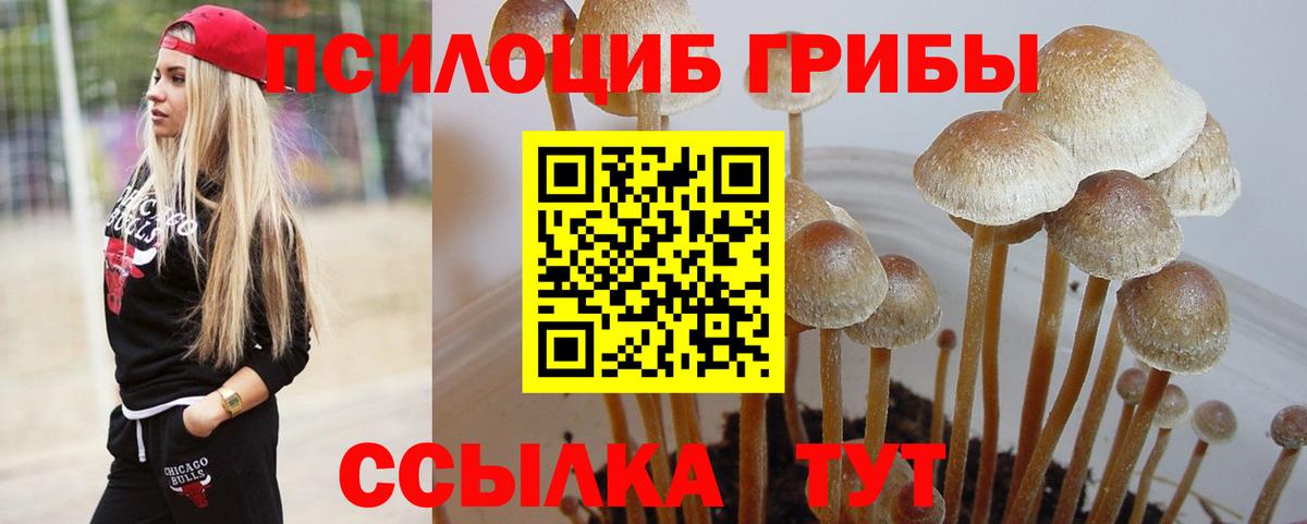 Псилоцибиновые грибы Magic Shrooms Нижнеудинск